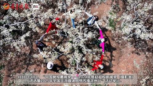 万亩梨园·风光无限:1300余年种梨史 打出水韵梨乡新招牌
